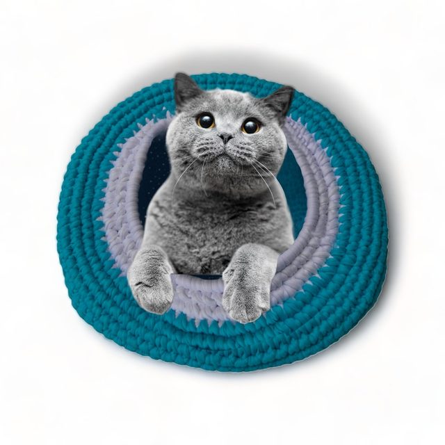 Pootchi Turkuaz Kedi Yuvası
